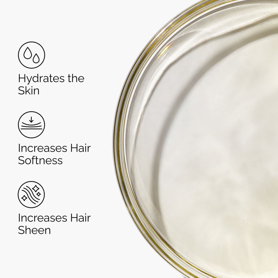 100-organic-cold-pressed-moroccan-argan-oil-v1 FY25-D41247-ORD-Web-PDP-100-Argan-Oil-1x1-EN-3.jpg