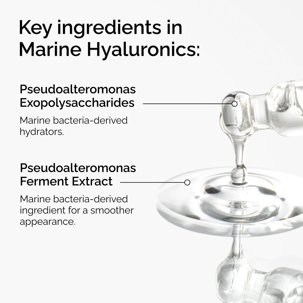 marine-hyaluronics-r2 FY25-D41247-ORD-Web-PDP-Marine-Hya-1x1-EN-2a.jpg