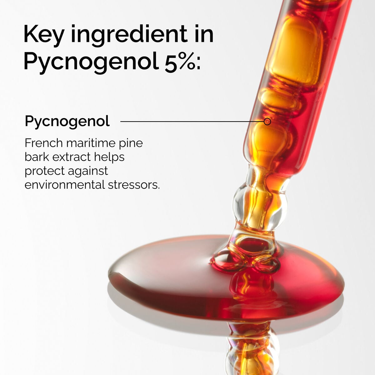 pycnogenol-5-e8 FY25-D41247-ORD-Web-PDP-Pyc-5pct-1x1-EN-2a.jpg