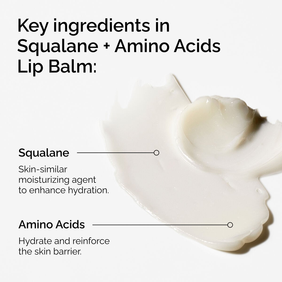 squalane-amino-acids-lip-balm-z4 FY25-D41247-ORD-Web-PDP-Sql-Amino-Lip-1x1-EN-2a.jpg