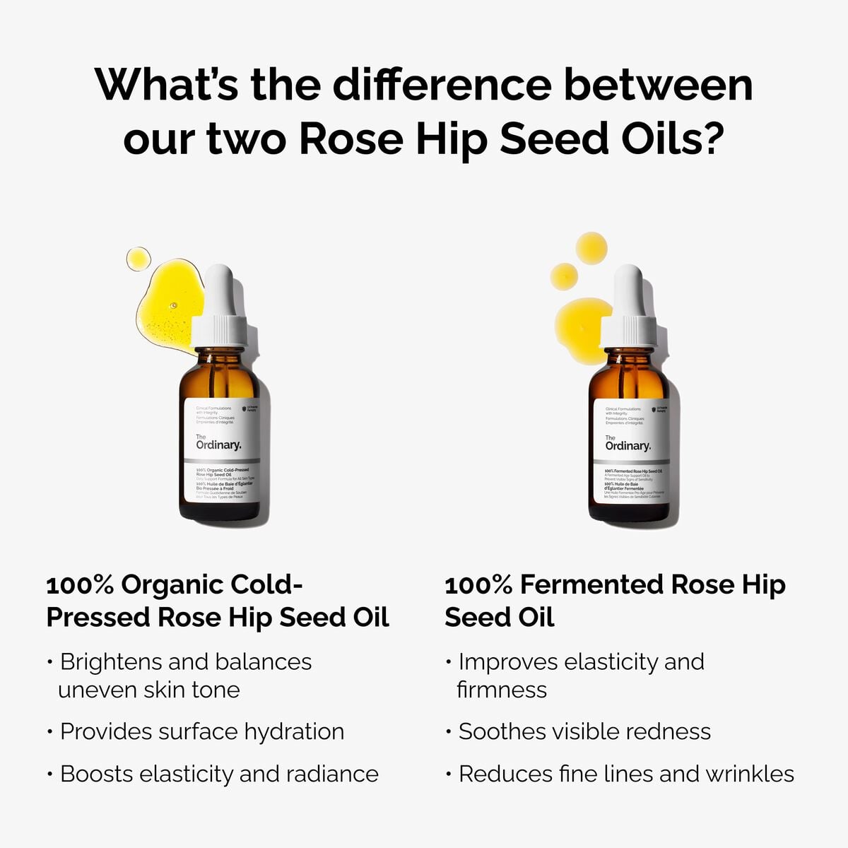 100-fermented-rose-hip-seed-oil-v8 fermented-rose-hip-vs-organic-rose-hip-graphic.jpg