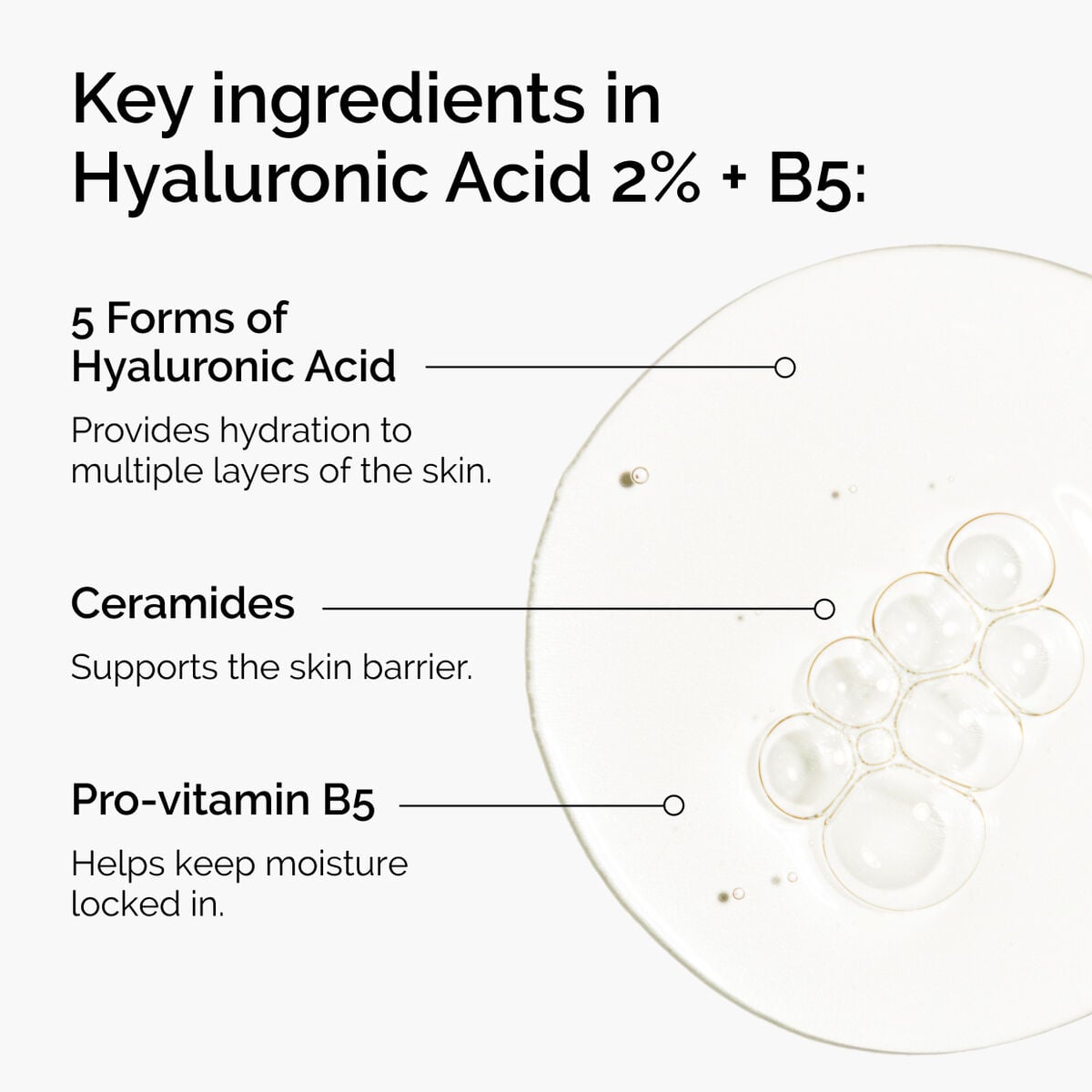 hyaluronic-acid-2-b5-with-ceramides-m9 ord-hyaluronic-acid-2pct-b5-hydrating-serum-ingredients-graphic.jpg