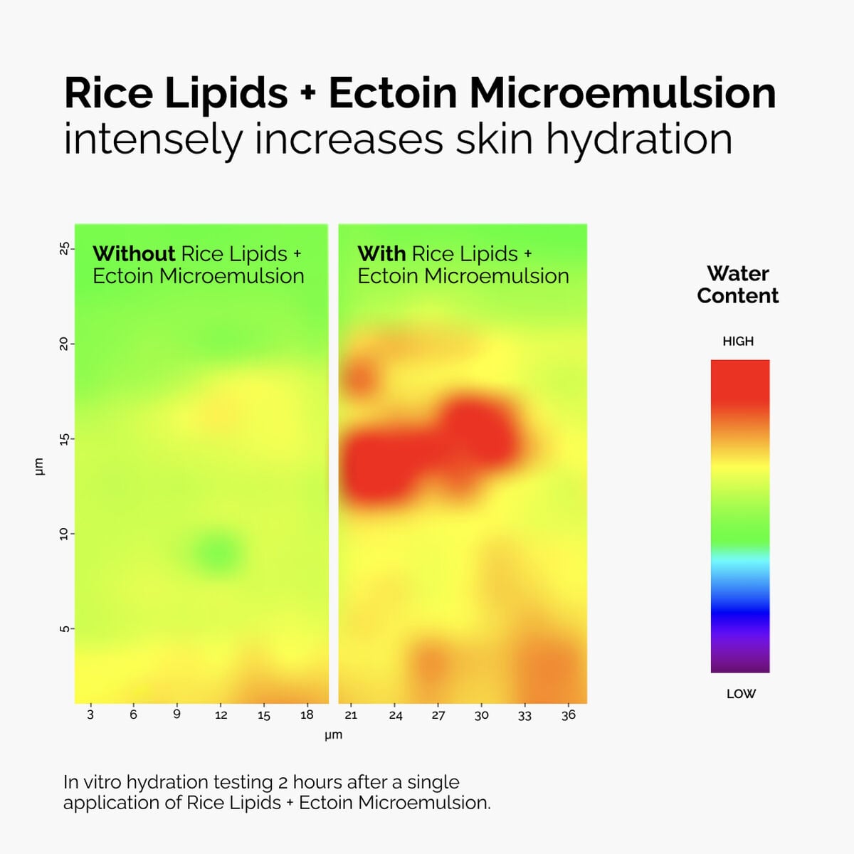 rice-lipids-ectoin-microemulsion-k6 ord-rice-lipids-ectoin-microemulsion-thermal-before-after.jpg